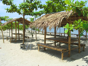 Sasa Cottage